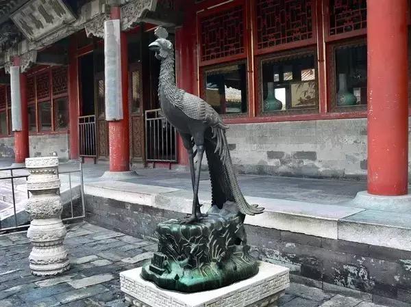 燕子做窝代表什么预兆,燕子做窝的预兆 燕子做窝代表什么预兆,燕子做窝的预兆
